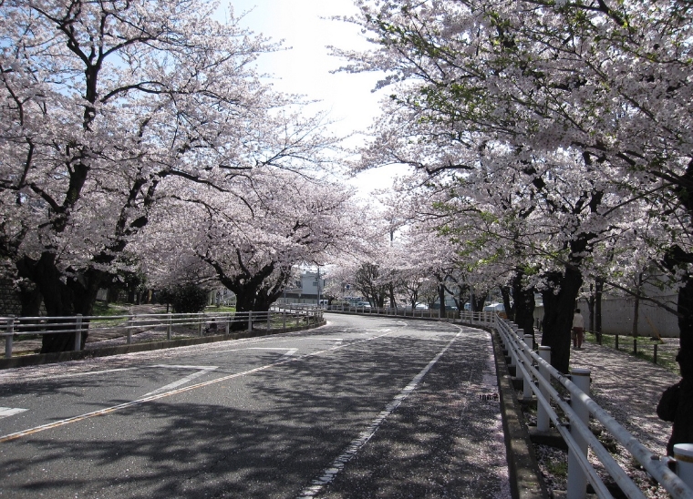 富岡総合公園の写真