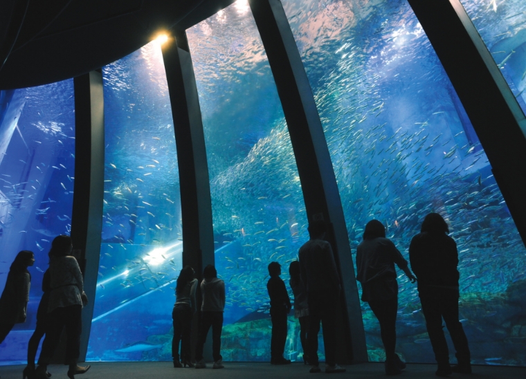 横浜・八景島シーパラダイスの写真